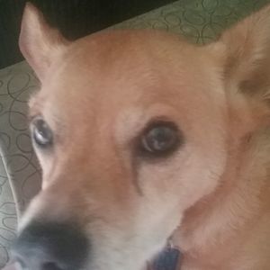 Meet your Posher, Darlene